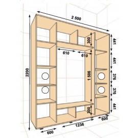 Шкаф-купе ШК-05 (2500 х 600 x 2200) Алекса